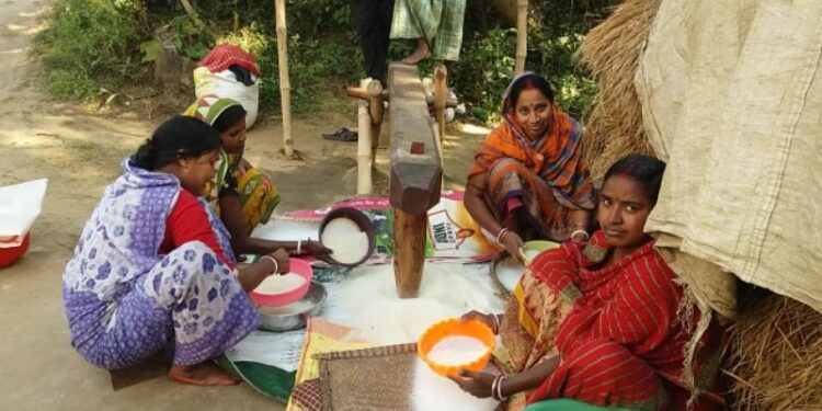 বর্তমান যুগেও গ্রামবাংলায় সমান কদর ঢেঁকির, আজও পিঠেপুলি উৎসবে চাল গুঁড়াতে মহিলাদের একমাত্র ভরসা প্রাচীন এই যন্ত্রটি