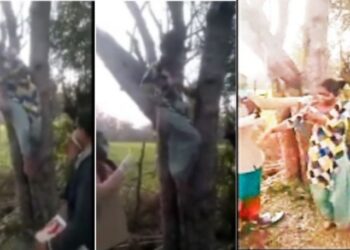 করোনার টিকার ভয়ে গাছের মগডালে তরুনী, বুঝিয়ে সুঝিয়ে দেওয়া হল টিকা