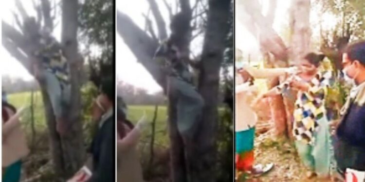 করোনার টিকার ভয়ে গাছের মগডালে তরুনী, বুঝিয়ে সুঝিয়ে দেওয়া হল টিকা