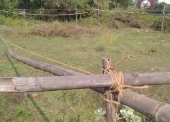 সেচ দফতরের সরকারী জমি দখলের অভিযোগ তৃণমূলের উপপ্রধানের বিরুদ্ধে