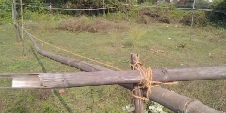 সেচ দফতরের সরকারী জমি দখলের অভিযোগ তৃণমূলের উপপ্রধানের বিরুদ্ধে