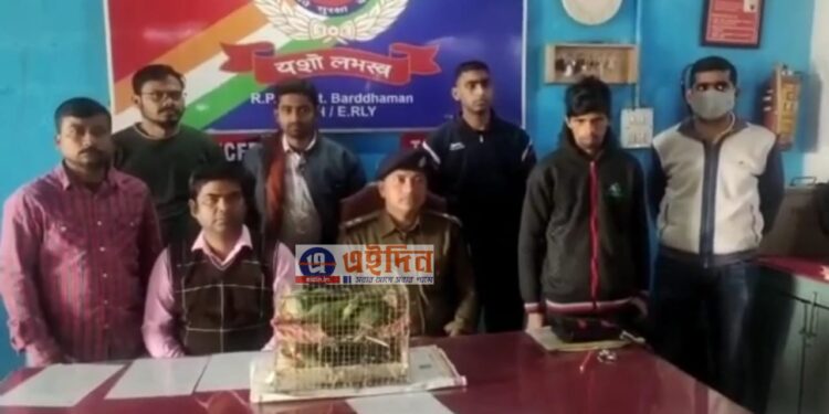 রেলপুলিশের তৎপরতায় ফের পাচারের আগেই বেশকিছু টিয়াপাখিসহ গ্রেফতার পাচারকারী