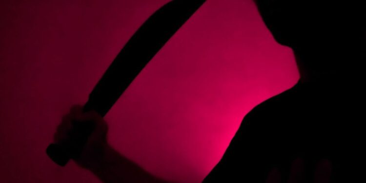 কাটারি দিয়ে নিজের দাদাকে কোপানোর অভিযোগে গ্রেফতার ভাই