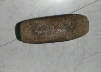 নোড়া দিয়ে মাথায় আঘাত করে গৃহবধূকে খুনের চেষ্টার অভিযোগে গ্রেফতার স্বামী ও মামাশ্বশুর