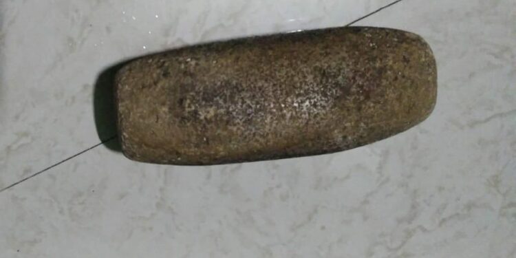 নোড়া দিয়ে মাথায় আঘাত করে গৃহবধূকে খুনের চেষ্টার অভিযোগে গ্রেফতার স্বামী ও মামাশ্বশুর