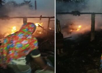 পোল্ট্রি ফার্মে ভয়াবহ অগ্নিকাণ্ডে জীবন্ত দগ্ধ ২৫০০ মুরগির বাচ্চা