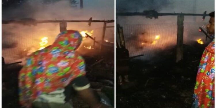 পোল্ট্রি ফার্মে ভয়াবহ অগ্নিকাণ্ডে জীবন্ত দগ্ধ ২৫০০ মুরগির বাচ্চা