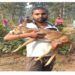 দলছুট হরিণ শাবক উদ্ধার বাঁকুড়ায়