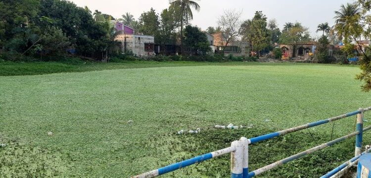অস্বাস্থ্যকর জলাশয় ও জলনিকাশি সমস্যায় জেরবার কাটোয়ার দাঁইহাট পুরবাসী