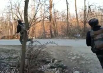 শোপিয়ানে এনকাউন্টারে খতম এক জঙ্গি