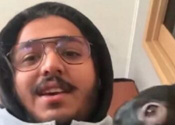 কুকুর শাবকের টানে যুদ্ধ বিধ্বস্ত ইউক্রেন ছাড়তে রাজি নয় ভারতীয় ইঞ্জিনিয়ারিং পড়ুয়া ঋষভ কৌশিক