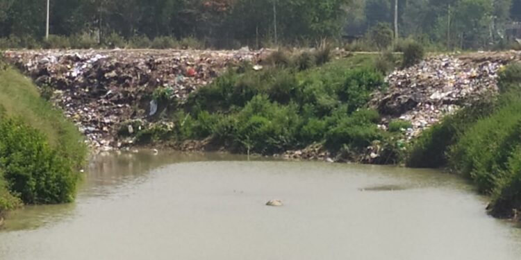 আধুনিকতার বুলি আওড়ানো মানুষের মধ্যে প্লাস্টিক দূষণ নিয়ে কেন এত সচেতনতার অভাব ?