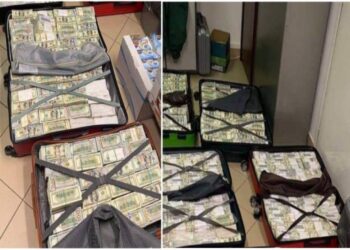 প্রবল গোলাগুলির মধ্যে গাড়িতে চড়ে দেশ ছেড়ে পালাচ্ছিলেন ইউক্রেনের প্রাক্তন সংসদের স্ত্রী, হাঙ্গেরি সীমান্তে ধরা পড়তেই চক্ষু চড়কগাছ সীমান্ত রক্ষীবাহিনীর