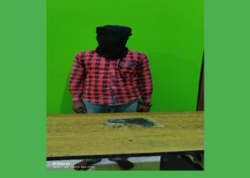 ভাতারে আগ্নেয়াস্ত্রসহ গ্রেফতার দুষ্কৃতী