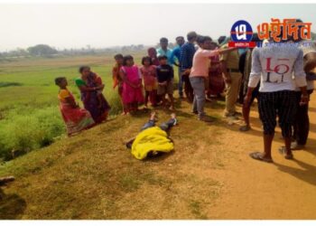 স্ট্রবেরি চাষ করা জমির বেড়ায় লাগানো বিদ্যুৎবাহী তার জড়িয়ে মর্মান্তিক মৃত্যু কিশোরীর