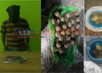 পূর্ব বর্ধমান জেলা জুড়ে বোমা বন্দুক উদ্ধার অব্যাহত,৫৪ তাজা বোমা-আগ্নেয়াস্ত্র ও কার্তুজ উদ্ধার করল পুলিশ