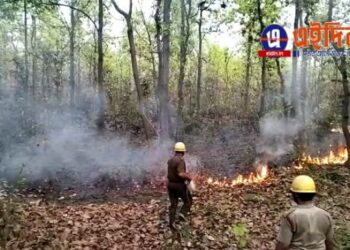 আউশগ্রামের আদুরিয়া বিট জঙ্গলমহলে আগুন, অস্তিত্ব সংকটের মুখে বন্যপ্রাণীদের