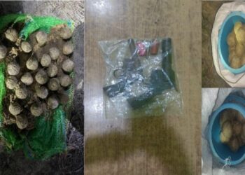 মুখ্যমন্ত্রীর ঘোষণার পর ৮ দিনে পূর্ব বর্ধমানে উদ্ধার ৩৬৮ বোমা, ৪১ টি  আগ্নেয়াস্ত্র