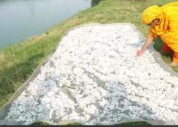 “চপ” বা “পকোড়া” নয়,বাতিল সামগ্রী দিয়ে উপার্জনের নয়া দিশা দেখাচ্ছে বাংলাদেশ