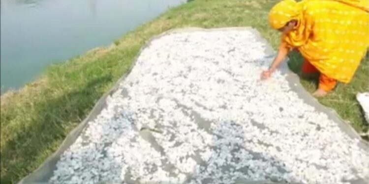 “চপ” বা “পকোড়া” নয়,বাতিল সামগ্রী দিয়ে উপার্জনের নয়া দিশা দেখাচ্ছে বাংলাদেশ