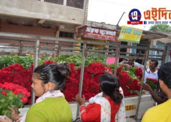 “চৈত্র সেল”  : কাটোয়ায় ৭৫ পিস গোলাপের বান্ডিল বিক্রি হচ্ছে মাত্র ৩০ টাকায়