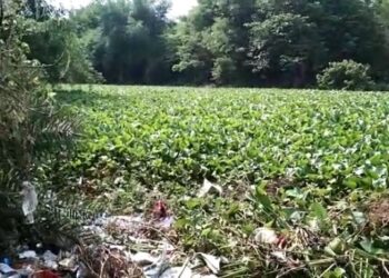 সরকারি উদাসীনতায় মজে গিয়ে দূষণ ছড়াচ্ছে মনসামঙ্গল খ্যাত বেহুলা নদী, হারিয়ে যেতে বসেছে বাংলার প্রাচীন ঐতিহ্য