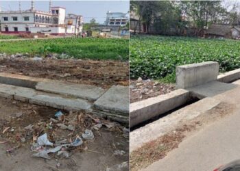 কচুরিপানায় ভর্তি পুকুর নিয়ে উদ্বেগে গুসকরা পুরবাসী