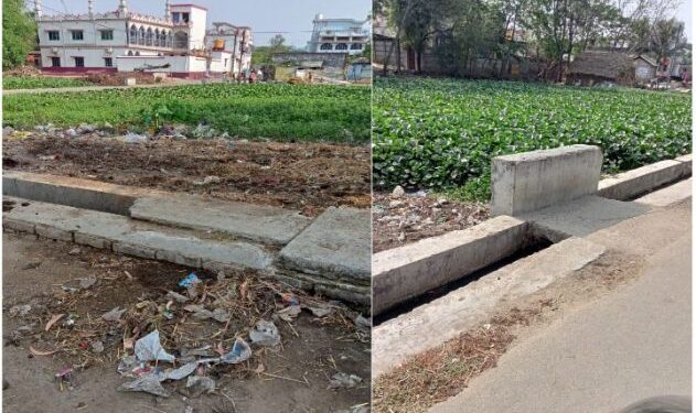 কচুরিপানায় ভর্তি পুকুর নিয়ে উদ্বেগে গুসকরা পুরবাসী