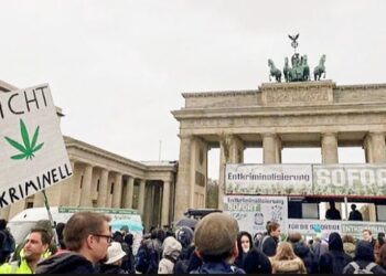 গাঁজা সেবনে বৈধতার দাবিতে বিক্ষোভ সমাবেশ জার্মানির রাজধানী বার্লিনে