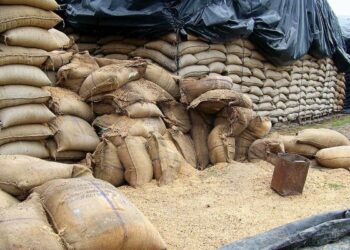 সিন্ডিকেটে’র বাধা, দুর্গাপুরের সগরডাঙার এফসিআইয়ের গুদাম থেকে রেশনের গম ট্রাকে তুলতে পারল না পূর্ব বর্ধমানের ৫২ টি ট্রাক