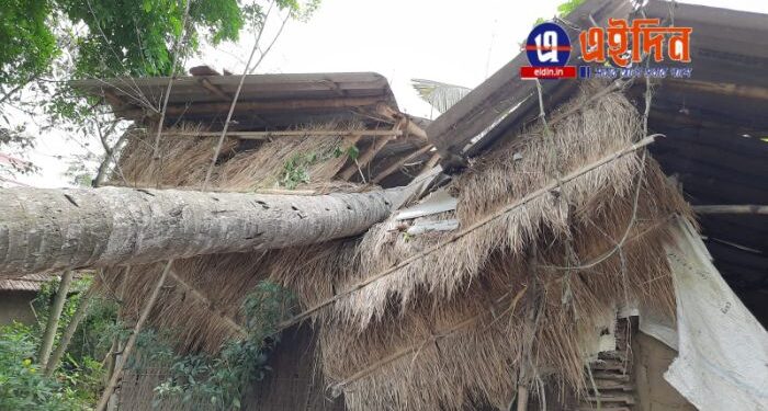 কালবৈশাখী ঝড়ের দাপটে বাড়িতে ভেঙে পড়লো প্রকাণ্ড নারকেল গাছ, আহত ১ শিশুসহ ৩