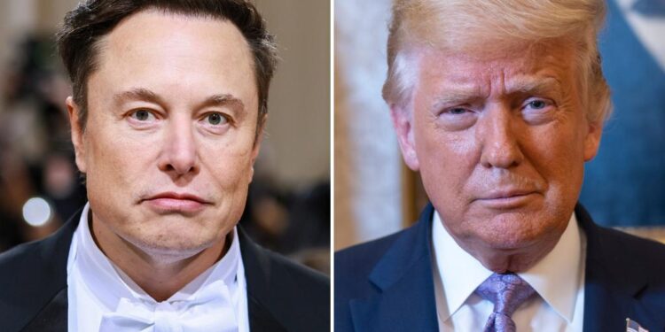 ডোনাল্ড ট্রাম্পের টুইটার অ্যাকাউন্ট ফিরিয়ে দেবেন ইলন মাস্ক