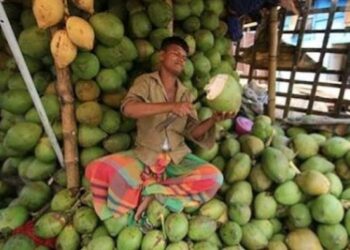 তীব্র গরমে তরমুজ ও ডাবের চাহিদা বেড়েছে গঙ্গারামপুরে, লাভের মুখ দেখছেন ব্যাবসায়ীরা