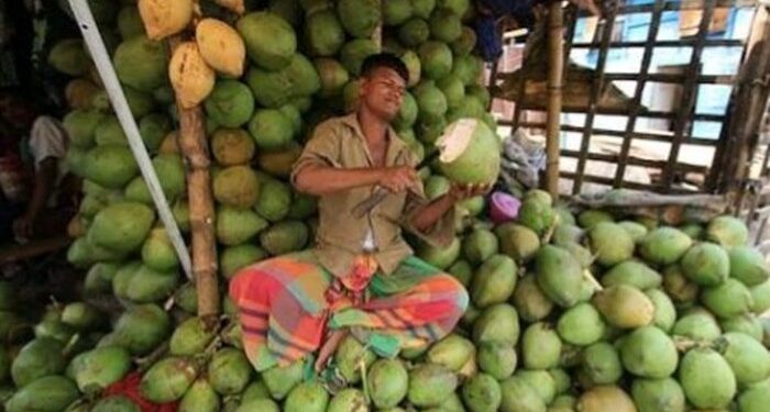 তীব্র গরমে তরমুজ ও ডাবের চাহিদা বেড়েছে গঙ্গারামপুরে, লাভের মুখ দেখছেন ব্যাবসায়ীরা