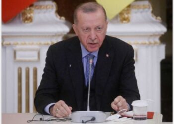 অপরাধমূলক কাজে জড়িয়ে পড়ার কারনে পাকিস্থানীদের জন্য ভিসা নীতি কঠোর করল তুরস্ক