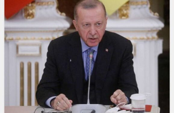 অপরাধমূলক কাজে জড়িয়ে পড়ার কারনে পাকিস্থানীদের জন্য ভিসা নীতি কঠোর করল তুরস্ক