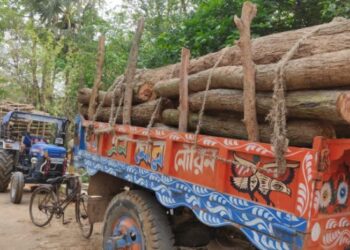 পঞ্চায়েত সদস্য, গ্রামবাসীদের অন্ধকারে রেখে বন দপ্তরের অনুমতি ছাড়াই গাছ বিক্রির অভিযোগ পঞ্চায়েত প্রধানের বিরুদ্ধে
