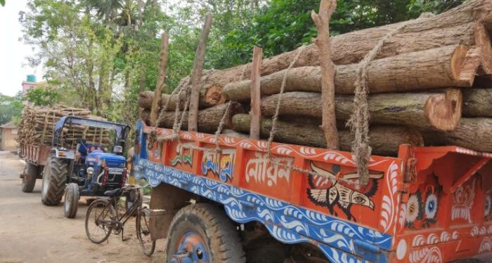 পঞ্চায়েত সদস্য, গ্রামবাসীদের অন্ধকারে রেখে বন দপ্তরের অনুমতি ছাড়াই গাছ বিক্রির অভিযোগ পঞ্চায়েত প্রধানের বিরুদ্ধে