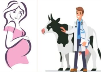 উপযুক্ত যন্ত্রপাতি ও ওষুধ ছাড়াই বাড়িতে প্রসূতির সিজার করলেন পশু চিকিৎসক, মা ও নবজাতকের মৃত্যু