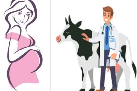 উপযুক্ত যন্ত্রপাতি ও ওষুধ ছাড়াই বাড়িতে প্রসূতির সিজার করলেন পশু চিকিৎসক, মা ও নবজাতকের মৃত্যু