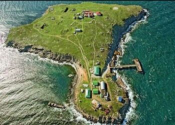 ইউক্রেনের স্নেক আইল্যান্ডের দখল রুশ বাহিনীর জন্য ‘গেম চেঞ্জার’ হতে পারে – মত বিশেষজ্ঞদের