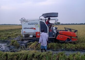 পেট্রোপন্নের মুল্যবৃদ্ধি জেরে চাষের খরচ দ্বিগুণ, ধানের সরকারি সহায়ক মুল্য বাড়ানোর আবেদন চাষিদের