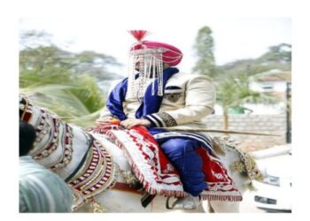 দলিত হয়ে ঘোড়ায় চড়ে বিয়ে করতে যাওয়ার অপরাধে বরকে আটকে দিল দূষ্কৃতীদল, উদ্ধার করতে গিয়ে আক্রান্ত পুলিশ