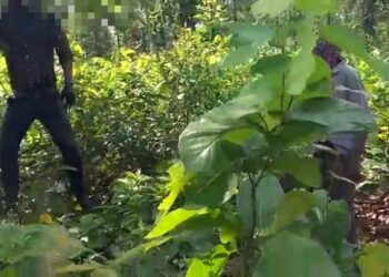 তালডাংরা থানার ধবনি জঙ্গল থেকে  অজ্ঞাতপরিচয় ব্যক্তির পচাগলা ঝুলন্ত দেহ উদ্ধার ঘিরে চাঞ্চল্য