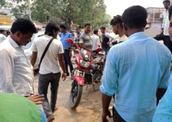 সাংবাদিকের বাইক থেকে সাপ উদ্ধার, হুলুস্থুল পূর্ব বর্ধমানের ভাতার বাজার