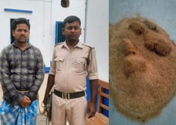 বাড়ির শৌচাগারের ছাদে বসে বোমা বাঁধার সময় দুষ্কৃতীকে হাতেনাতে পাকড়াও করল কাটোয়া থানার পুলিশ