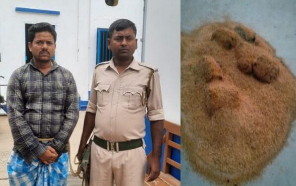 বাড়ির শৌচাগারের ছাদে বসে বোমা বাঁধার সময় দুষ্কৃতীকে হাতেনাতে পাকড়াও করল কাটোয়া থানার পুলিশ