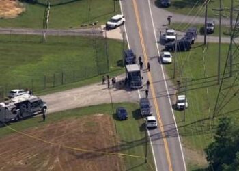 আমেরিকায় ফের বন্দুকধারীর হামলা, নিহত ৩