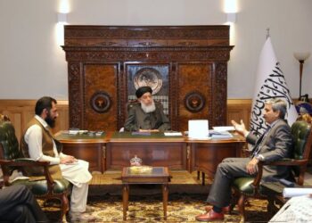 তালিবান শাসনের সাথে যুক্ত হওয়ার ক্ষেত্রে নয়াদিল্লির কিছু স্বার্থ রয়েছে  : আমেরিকা