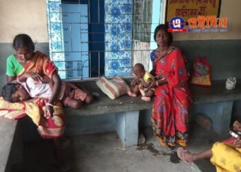 সাপ সহ খিচুড়ি রান্ন হল অঙ্গনওয়াড়ি কেন্দ্রে, তা খেয়ে ফেলায় শিশুদের নিয়ে হাসপাতাল ছুটলো মায়েরা, শোকজ করা হল কর্মীদের